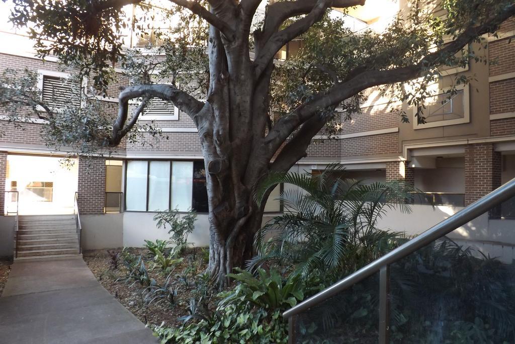 Fiori Apartments Sydney Exterior photo